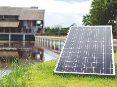 Kolejna witryna oparta na WordPressie