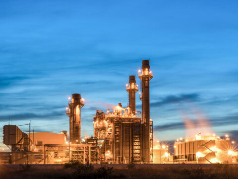 Kolejna witryna oparta na WordPressie