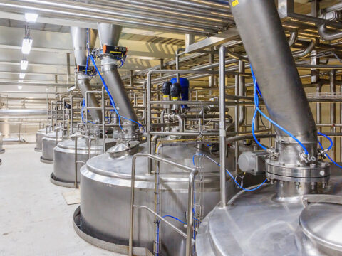 Kolejna witryna oparta na WordPressie