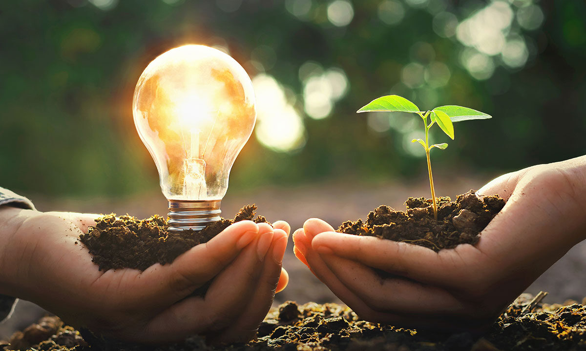 Kolejna witryna oparta na WordPressie