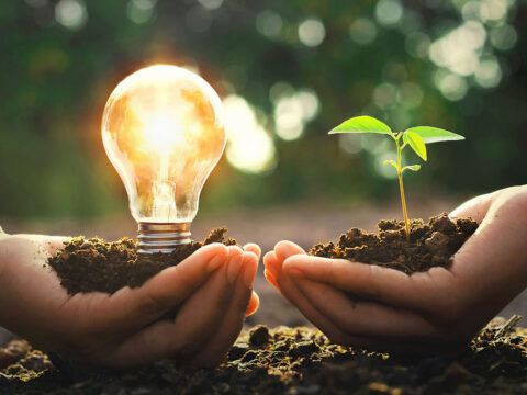 Kolejna witryna oparta na WordPressie