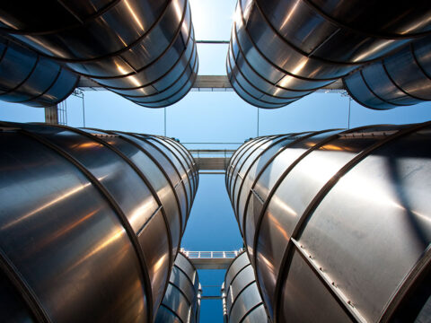 Kolejna witryna oparta na WordPressie