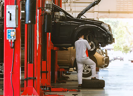 Kolejna witryna oparta na WordPressie