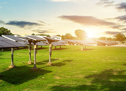 Kolejna witryna oparta na WordPressie