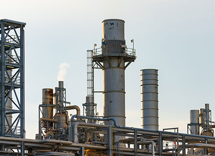 Kolejna witryna oparta na WordPressie