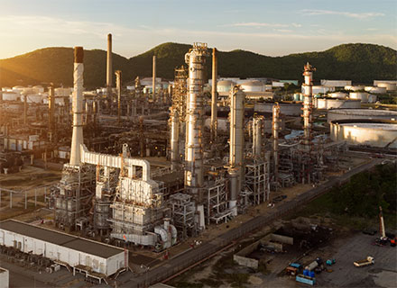 Kolejna witryna oparta na WordPressie